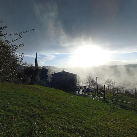 Agriturismo Il Poggio Degli Scoiattoli ペルージャ エクステリア 写真